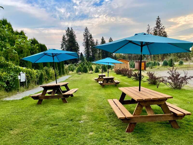 Kelowna: E-Bike Guided Wine Tour with Lunch & Tastings - The ride back to Lakeside Eco-Sports