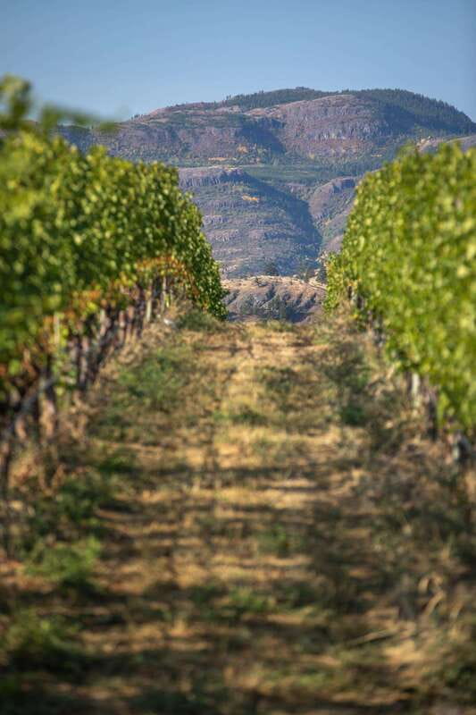 Kelowna: Lake Country Full Day Guided Wine Tour - What the guide adds to the day