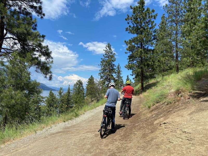Kelowna: Okanagan Lake Guided E-Bike Tour with Picnic - Is $160 a Fair Price?