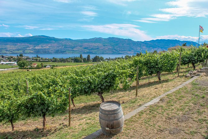 Kelowna or West Kelowna Afternoon Sightseeing Wine Tour - What the four-hour schedule feels like