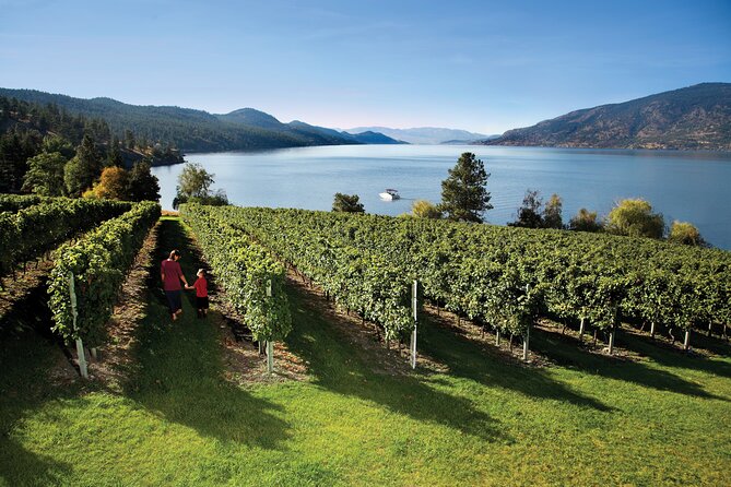 Kelowna South Slopes Wine Tour - 5 wineries on the tour - Key points to know before booking