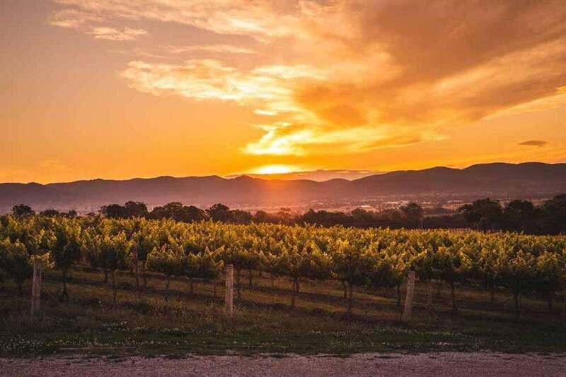 Kelowna: Sunset Sip Wine Tour - The guides make a real difference