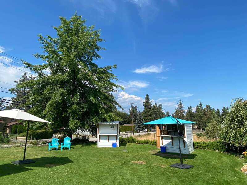 Kelowna: Wine Tasting by E-bike, Smartphone Guide & Lunch - Who should book this ride