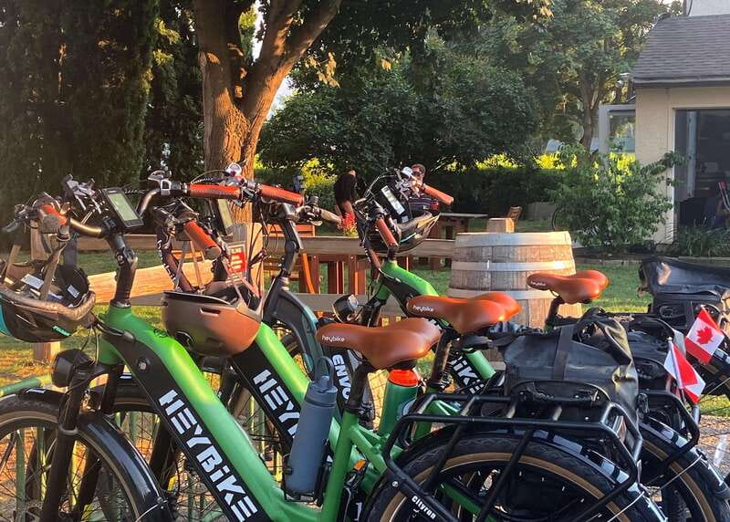 Kelowna: Wine Tasting by E-bike, Smartphone Guide & Lunch - What the $125 price includes