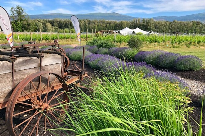 Kelowna Wine Tour by E-bike, Okanagan Valley Views and Lunch - Key points to know before you ride