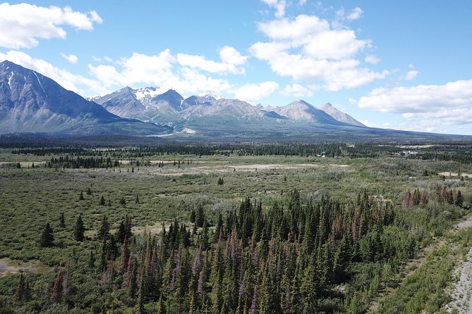 KLUANE NATIONAL PARK - Day-Trip from Whitehorse - Wildlife can turn the drive into the best part