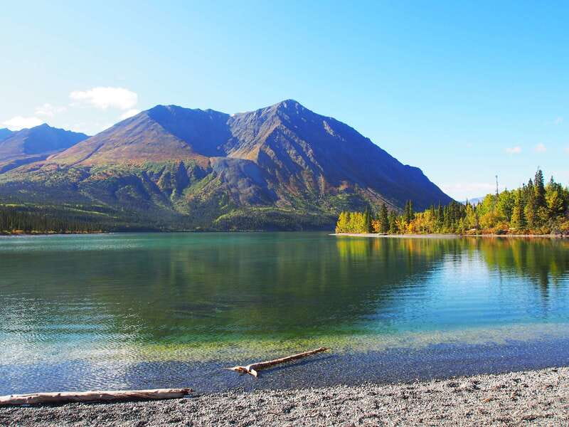 Kluane National Park: Full Day Tour - Who will enjoy this day most