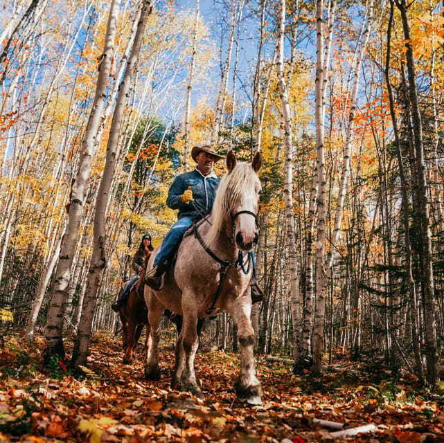 La Bleuetière: A charming introduction to horseback riding - One hour of riding, about 1.5 hours overall