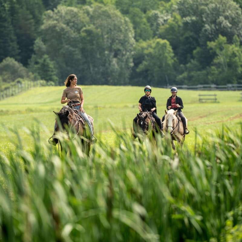 La Bleuetière: A charming introduction to horseback riding - One quiet hour on the forest trail