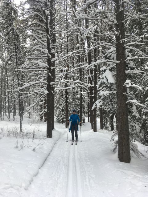 Lake Louise: Cross Country Skiing Lesson with Tour - Starting beside Lake Louise at 10:30 AM