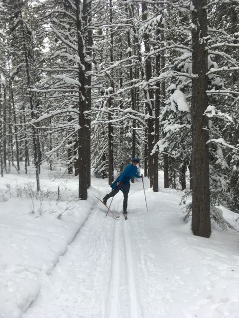 Lake Louise: Cross Country Skiing Lesson with Tour - Meeting point, cancellations, and booking flexibility