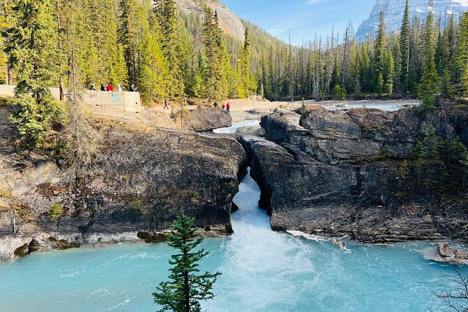 Lake Louise, Moraine/Bow, Emerald & Peyto - 4 Lakes in Banff - Peyto Lake: the high viewpoint worth prioritizing