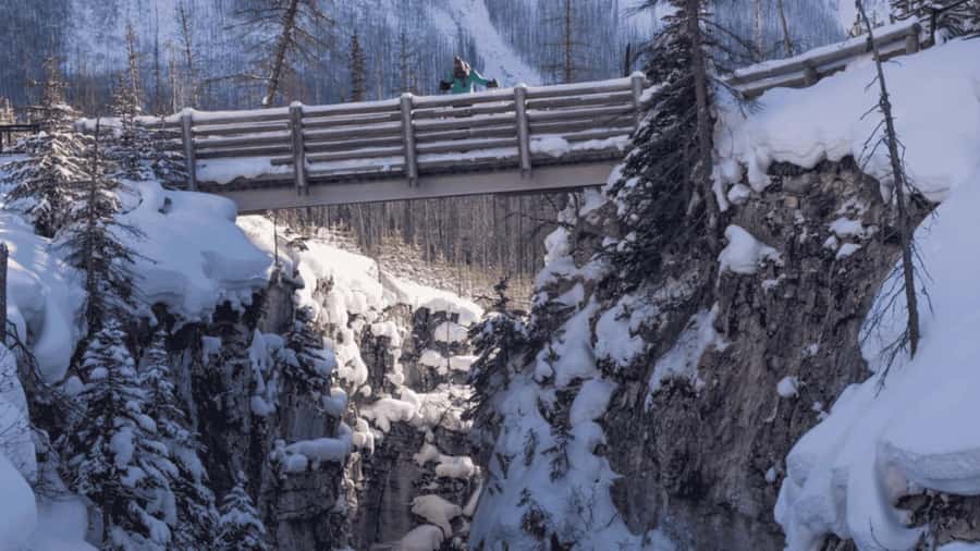 Lake Louise, Moraine, & Emerald: From Calgary/Canmore/Banff - Key points to know before you book