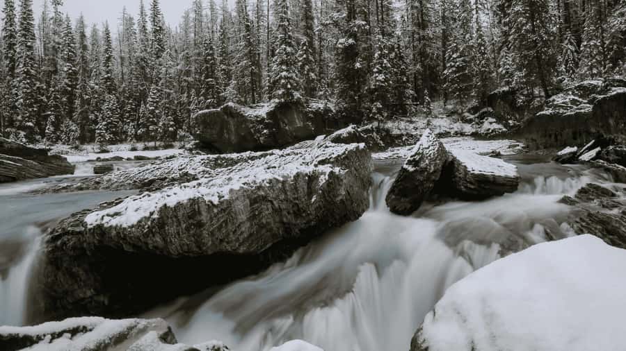 Lake Louise, Moraine, & Emerald: From Calgary/Canmore/Banff - Lunch in Lake Louise Village, with choice but extra cost