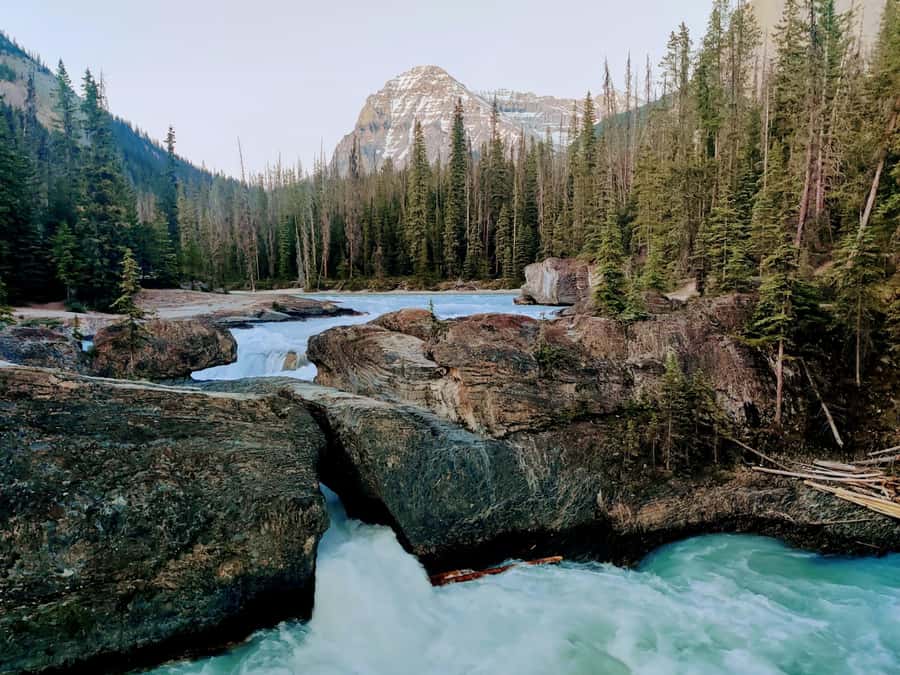Lake Louise,Moraine,Emerald Lake,Johnston Canyon & BanffTour - Banff and Vermilion Lakes round out the route