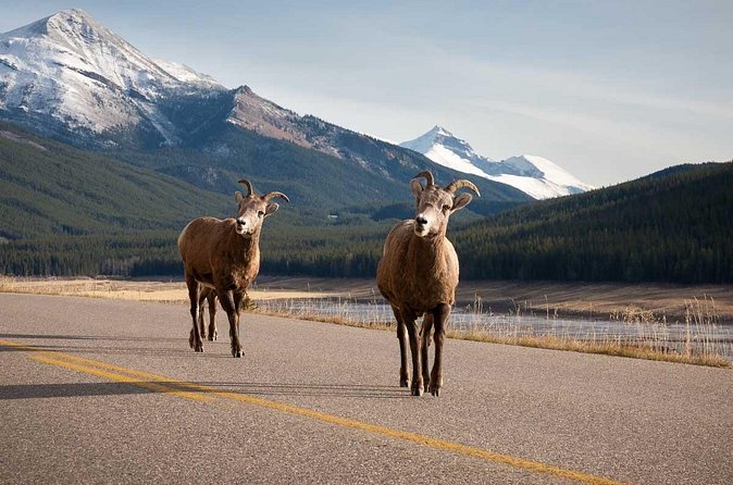 Lake Louise Moraine Lake Icefield Parkway Full Day Private Tour - Lake Minnewanka closes the route