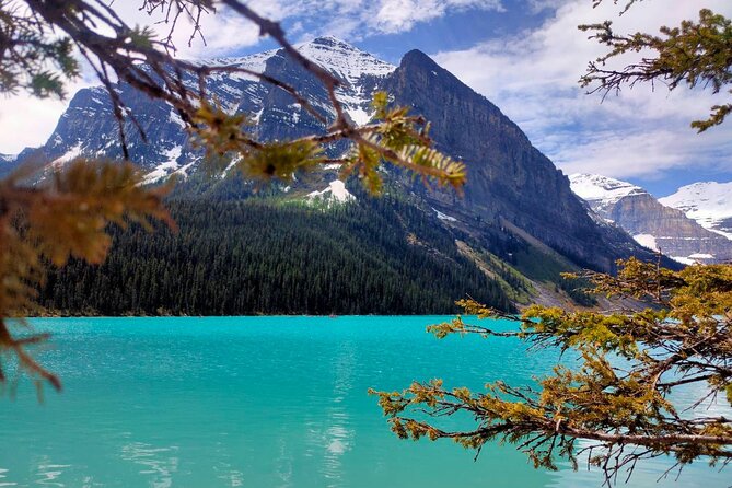 Lake Louise Moraine Lake Johnston Canyon 1.5h Half Day Tour - Guides can turn a shuttle into a better outing
