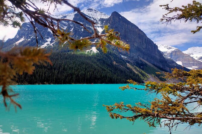 Lake Louise, Moraine Lake, Peyto Lake, Crowfoot, Johnston Canyon - Why this one-day Rockies route works