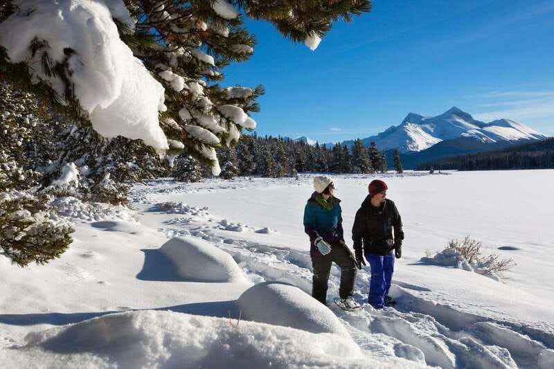 Lake Louise, Peyto Lake, Johnston Canyon & Icefields Parkway - Key points to know before you book