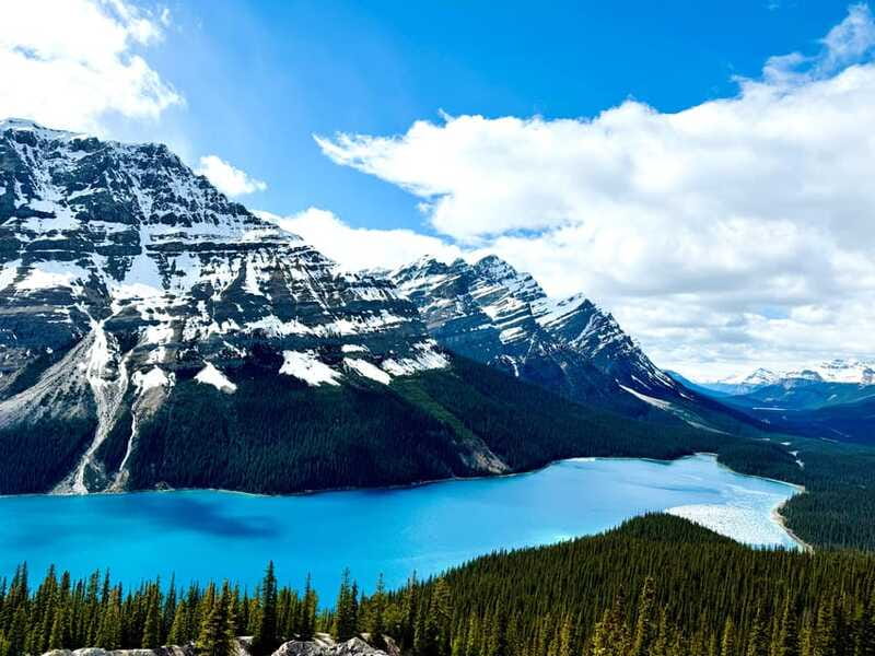 Lake Louise, Peyto Lake, Johnston Canyon & Icefields Parkway - What the $76 price really covers