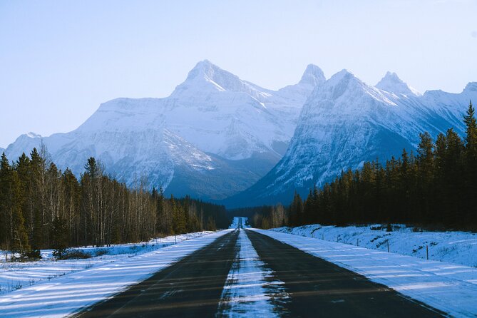 Lake Minnewanka, Peyto Lake, Bow Lake , Icefields - Lunch in Lake Louise Village