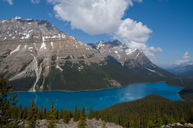 Lake View Tour-Lake Moraine, Louise, Emerald, Peyto, Vermillion - Lake Louise and the 45-minute village break