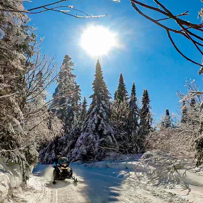 Laurentians: Snowmobile Guided Tour - Key points before you book