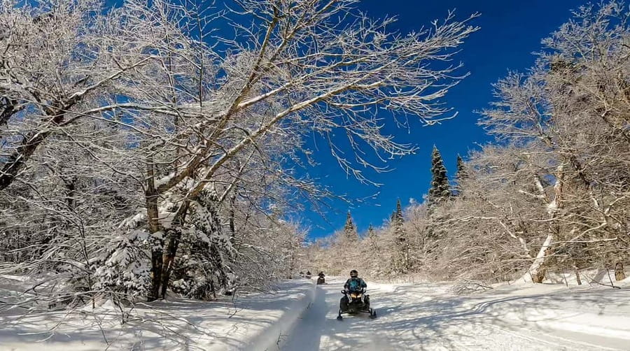 Laurentians: Snowmobile Guided Tour - Who will enjoy this ride most