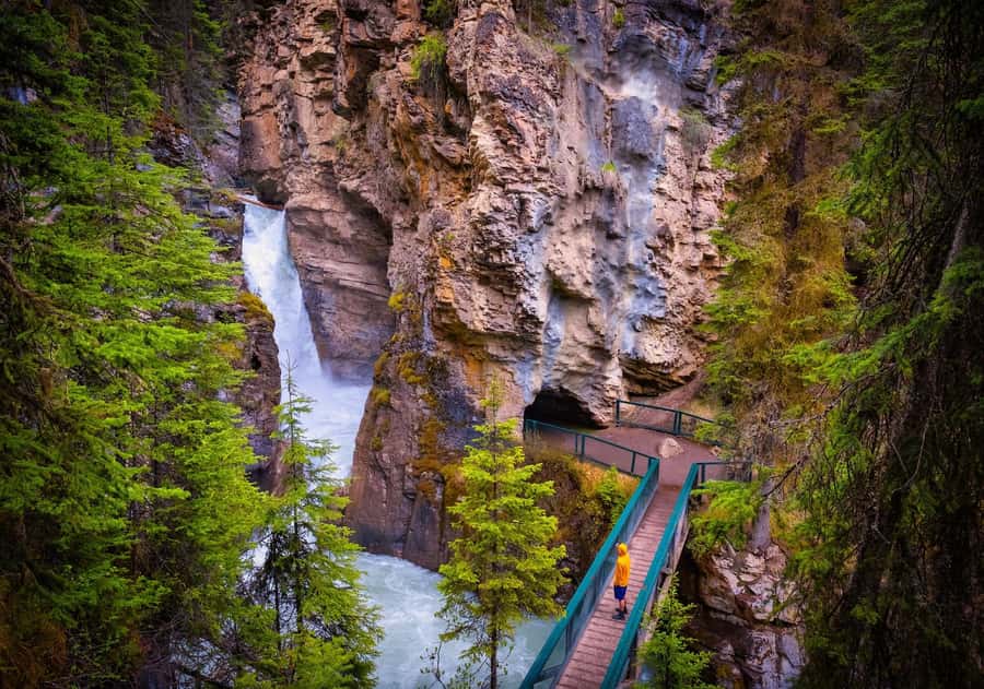 Louise, Moraine/Johnston Canyon, Minnewanka & Banff Town - Vermillion Lakes and a two-hour Banff break