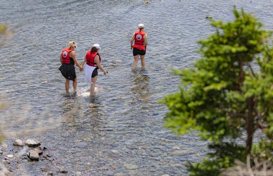 Lunenburg: Zodiac Wildlife Tour with Naturalist Guide - Key points to know before you go