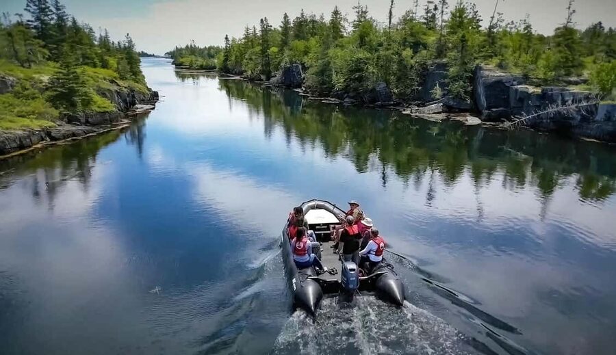 Lunenburg: Zodiac Wildlife Tour with Naturalist Guide - Looking for seals, birds, and land animals