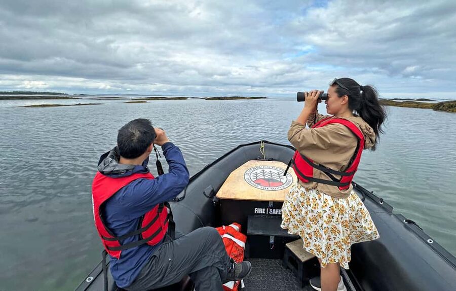Lunenburg: Zodiac Wildlife Tour with Naturalist Guide - Booking and timing tips