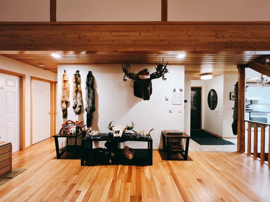 Madeline Lake: Aurora Lodge and Aurora Chasing Tour - Who should book this experience?