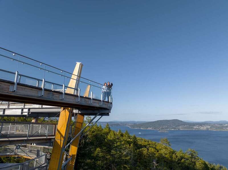Malahat SkyWalk Ticket - The Adventure Net and the choice between slide and stroll