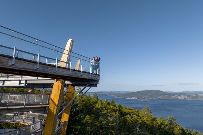 Malahat SkyWalk Tickets - Choosing between the walk down and the slide