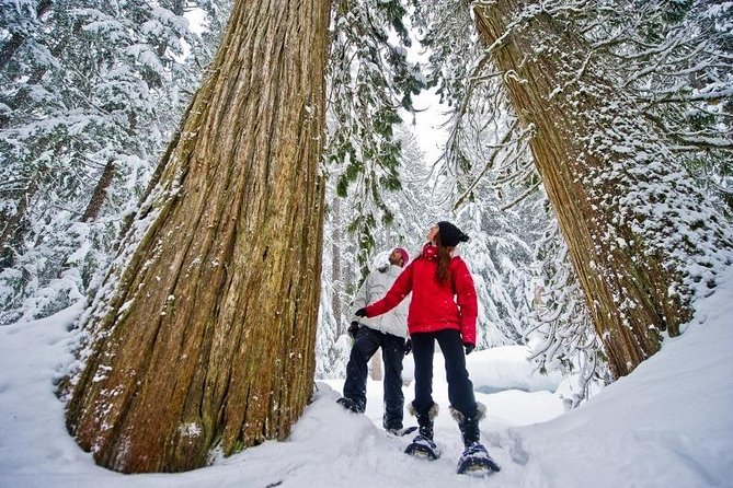 Medicine Trail Snowshoe Tour - Key points to know