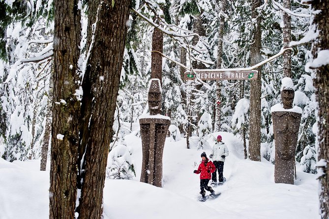 Medicine Trail Snowshoe Tour - Following the Medicine Trail beneath cedar and hemlock