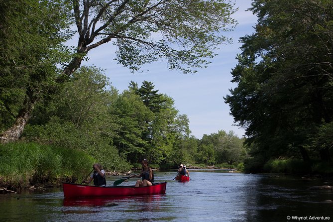 Mersey River Quickie Adventure - 2 Hours - What the guide adds to the outing