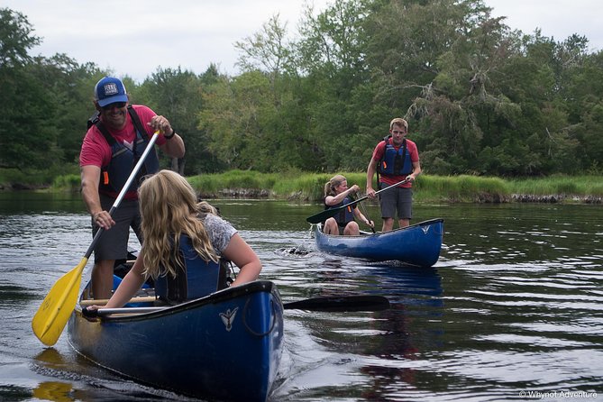 Mersey River Quickie Adventure - 2 Hours - Price, park admission, and overall value