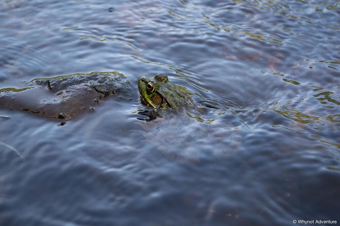 Mersey River Quickie Adventure - 2 Hours - Who will enjoy this Mersey River outing