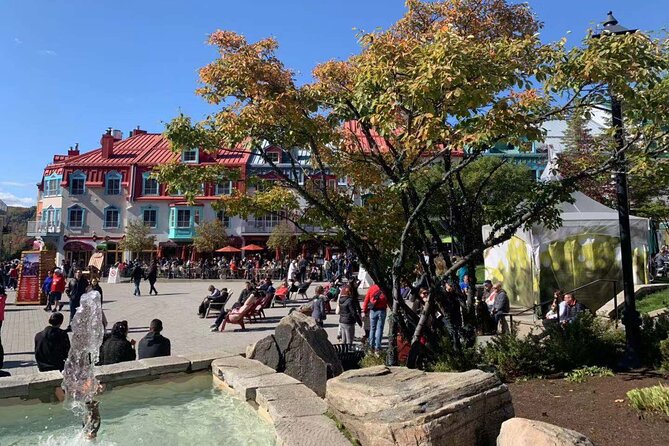 Mont-Tremblant 1 Day Tour - Is the $46 fare a good deal?