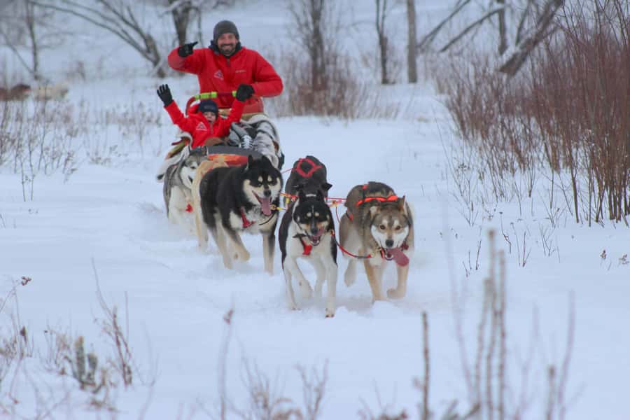 Mont-Tremblant: Dogsledding Valley Adventure - How the sled assignments work