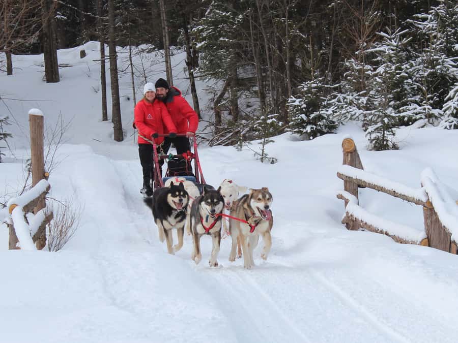 Mont-Tremblant: Dogsledding Valley Adventure - A fire, homemade dessert, and hot chocolate halfway through