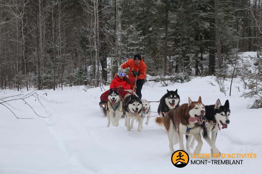 Mont-Tremblant: Dogsledding Valley Adventure - Soup by the fireplace