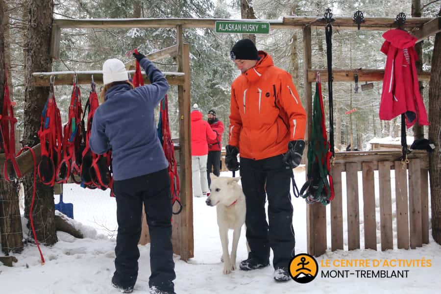 Mont-Tremblant: Dogsledding Valley Adventure - What the $153 price includes