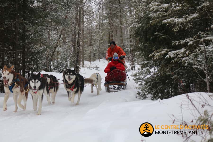 Mont-Tremblant: Dogsledding Valley Adventure - Booking, cancellation, and final advice