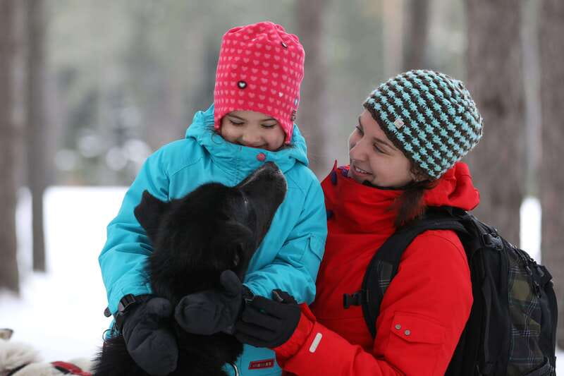 Mont-Tremblant: Guided Dogsledding Tour with Hot Chocolate - Meeting the dogs before the ride