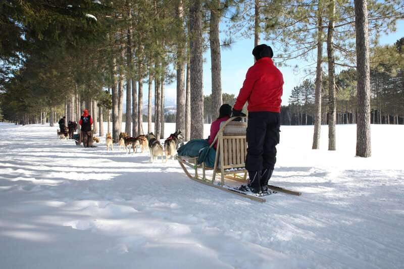 Mont-Tremblant: Guided Dogsledding Tour with Hot Chocolate - Learning to mush on Mont-Tremblant trails