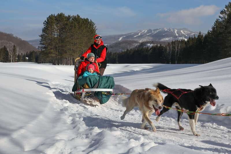 Mont-Tremblant: Guided Dogsledding Tour with Hot Chocolate - Cold-weather comfort and the right clothing