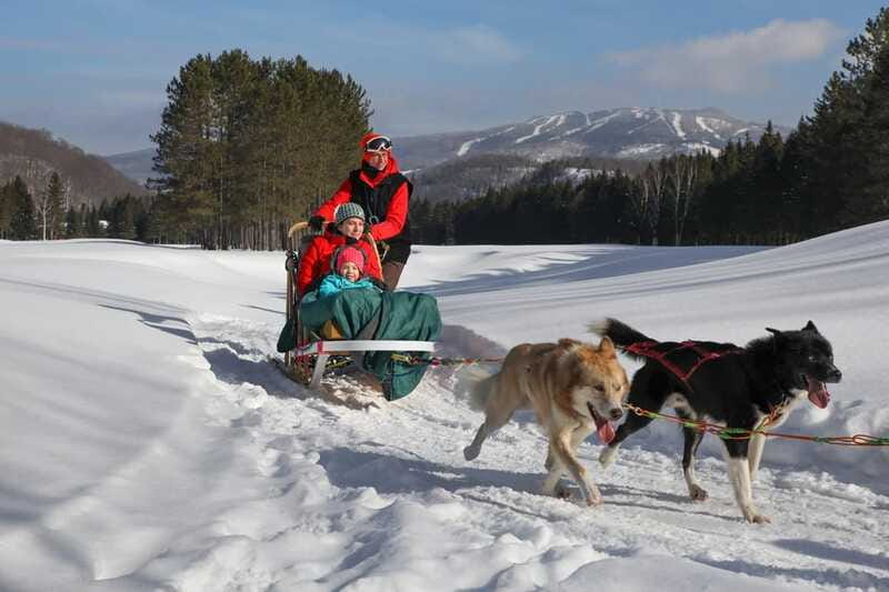 Mont-Tremblant: Guided Dogsledding Tour with Hot Chocolate - Is $213 a fair price?